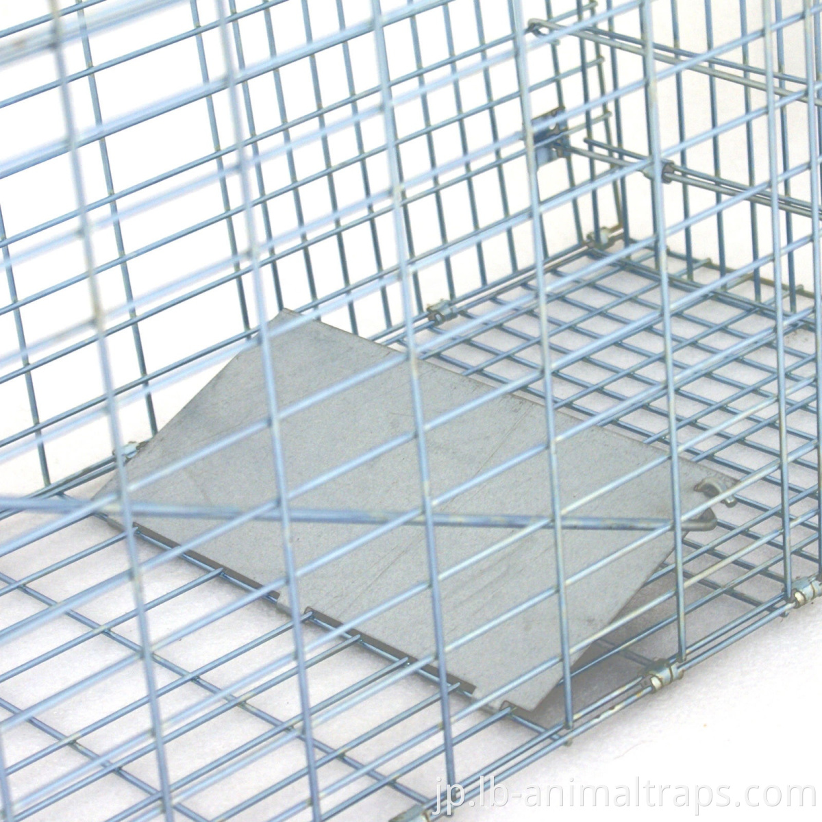 ホットセールLiebang Marten Trap Cages for Sale Factory Supply